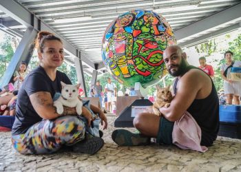 Oportunidade de imunização para quase 1 mil gatos até esta quarta