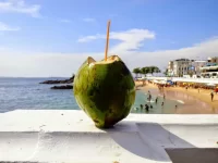 Novo ano: veja dias dos feriados de Salvador em 2024