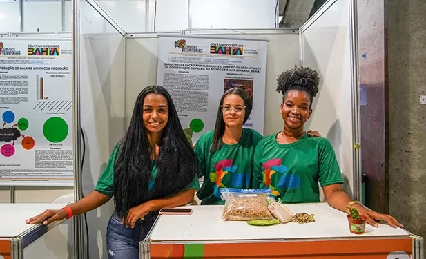 Educação: Estudantes do semiárido utilizam cacto para desenvolver ração para animais