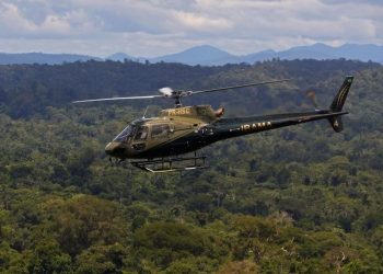 Área sob alertas de desmatamento na Amazônia cai 50% em 2023
