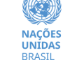 Em dias: Brasil recupera direito de voto após quitar dívidas com ONU