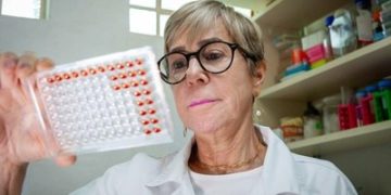 Leptospirose: Instituto Butantan desenvolve teste que detecta doença em estágio inicial