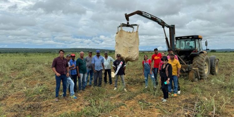 No interior da Bahia novas tecnologias impulsionam a produção agrícola