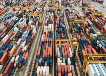 Mercado: Brasil abre 13 novos mercados a produtos brasileiros em 2024