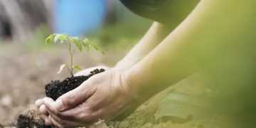 Estado promete o plantio de 100 mil mudas para compensar CO² emitido no Carnaval