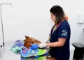 Com todo gás: Hospital Municipal Veterinário realiza mais de 160 atendimentos no primeiro dia de funcionamento