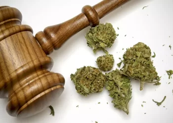 Política: criminalização das drogas chega ao Plenário do Senado