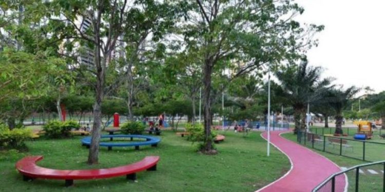 Prefeitura planeja plantio recorde de 110 mil árvores e recuperação de áreas verdes