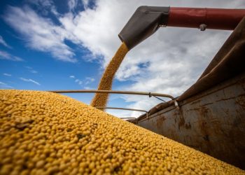 Oeste da Bahia: Colheita da soja se aproxima da metade da área plantada