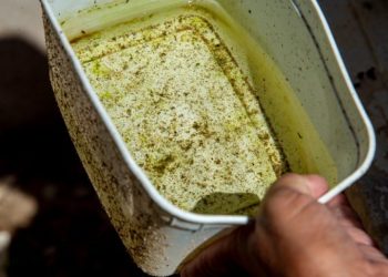 Atenção: Vitória da Conquista segue no topo de casos prováveis de dengue na Bahia