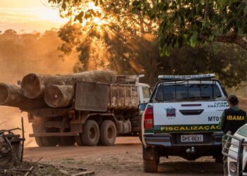 Brasil: Retomada de políticas ambientais reposiciona país no centro das discussões globais